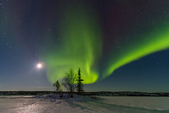 Northern Lights dance over the boreal forest at Great Slave Lake in Canada on a clear winter night