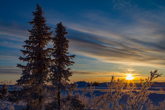 Sunrise lights up boreal forest near Great Slave Lake in Northwest Territories Canada