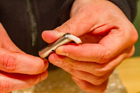 Researcher processes blubber biopsy from blue whale in Antarctica for scientific study and analysis of marine mammals