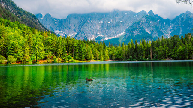 Lake of Fusine or Lago Superiore di Fusine in the Mountain Range of Mount Mangart in Julian Alps near Tarvisio in Italy near Slovenia