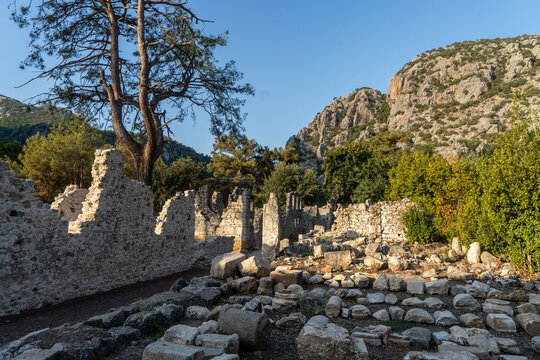 Ruins of ancient Olympos near the beach of Ireli in Turkey showcase historical stones and trees in a lush landscape