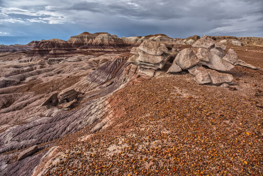 Desolate valley of rock and sand in Petrified Forest National Park, Arizona showing unique geological features and textures
