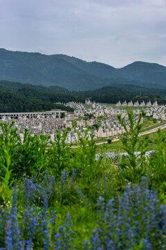 Burj al Babas features abandoned castle houses built in Turkey's Mudurnu