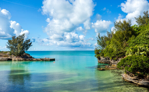 Clear water reflects clouds near shore with trees and small dock in tropical setting of bright day