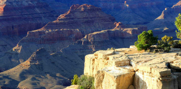 View of the Grand Canyon from South Rim in Arizona showing rock formations and trees under clear skies in daylight