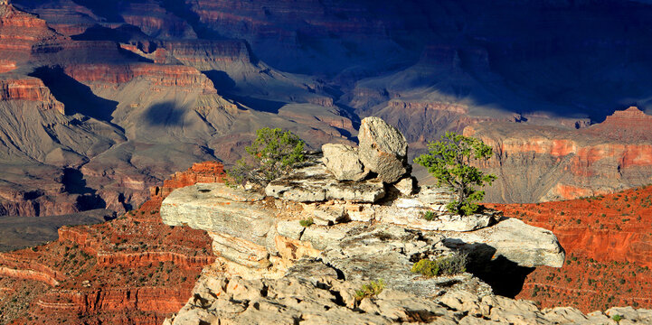 View of Grand Canyon from South Rim showing rock formations and plants in Arizona, USA
