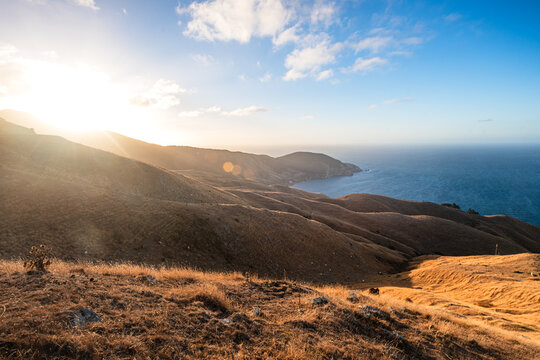 Rolling hills meet the Pacific Ocean at French Pass in Marlborough Sounds on New Zealand's South Island during sunset
