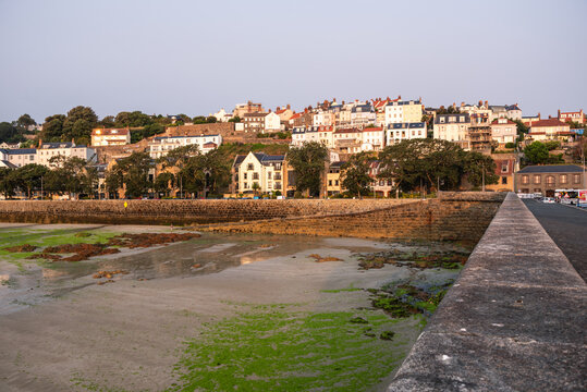 Coastal townscape with waterfront buildings and green seagrass at low tide in St Peter Port, Guernsey