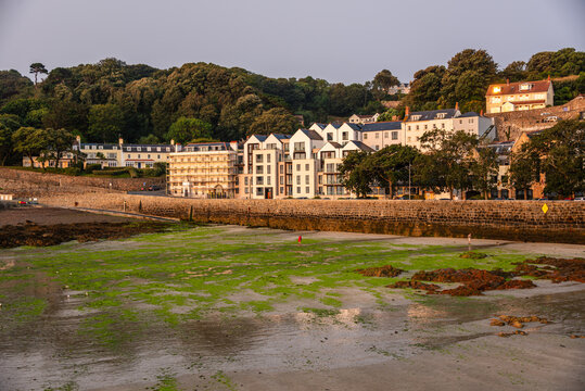 Coastal landscape at low tide in Saint Peter Port with houses and green sea grass near the shoreline in Guernsey
