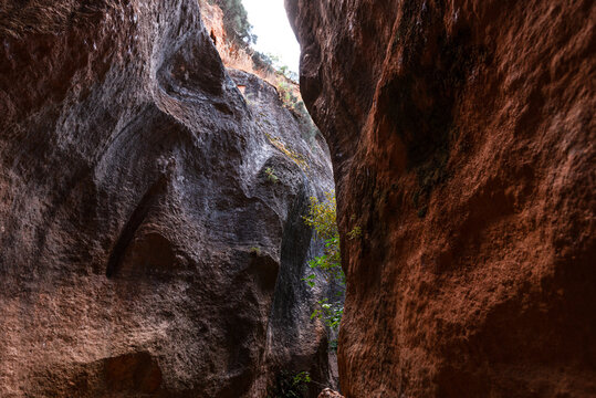Narrow sandstone walls rise steeply in Barranco de Luna canyon with light filtering through rock formations in Granada, Spain