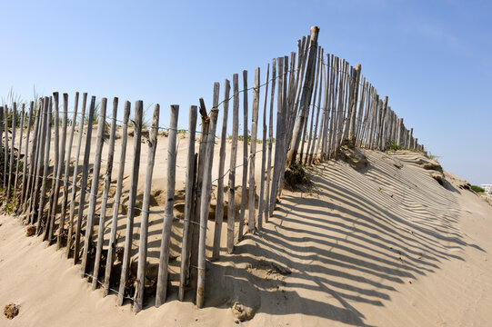 Chesnut wooden fence designed to prevent sand erosion in Grau du Roi, Gard department, France