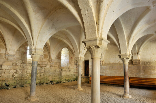 Explore the chapterhouse of a Cistercian abbey located in Valence-sur-Baise in southwest France