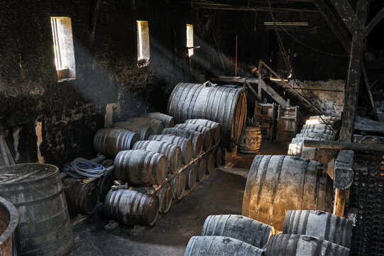 Exploration of a historic wine cellar at a 17th century estate in southwest France filled with barrels and rustic charm