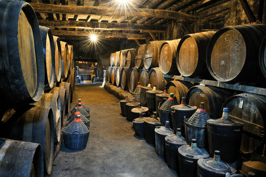 Exploring the cellar of a 17th century wine estate in Occitanie region of France