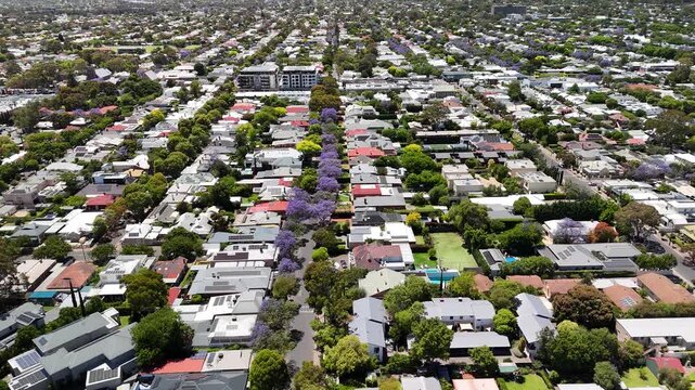 Adelaide, South Australia: 4K Aerial Drone Footage of Southern Suburbs, Residential Houses, Tree-Lined Streets, Jacaranda Bloom and Urban Landscape in Unley, Parkside, Malvern 