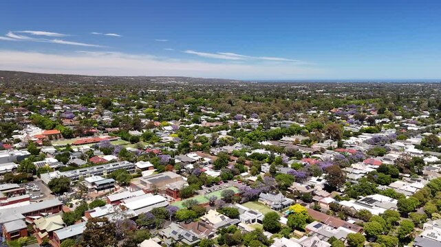 Adelaide, South Australia: 4K Aerial Drone Footage of Southern Suburbs, Residential Houses, Tree-Lined Streets, Jacaranda Bloom and Urban Landscape in Unley, Parkside, Malvern 