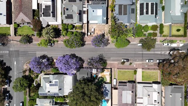Adelaide, South Australia: 4K Aerial Drone Footage of Southern Suburbs, Residential Houses, Tree-Lined Streets, Jacaranda Bloom and Urban Landscape in Unley, Parkside, Malvern 