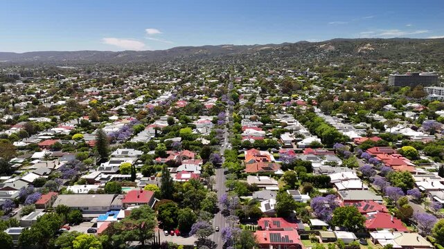Adelaide, South Australia: 4K Aerial Drone Footage of Southern Suburbs, Residential Houses, Tree-Lined Streets, Jacaranda Bloom and Urban Landscape in Unley, Parkside, Malvern 