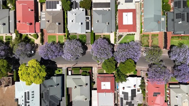 Adelaide, South Australia: 4K Aerial Drone Footage of Southern Suburbs, Residential Houses, Tree-Lined Streets, Jacaranda Bloom and Urban Landscape in Unley, Parkside, Malvern 