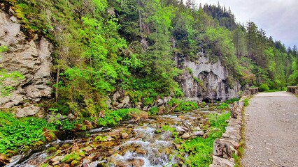 Pomost koło płynącego strumyka © Asnyko