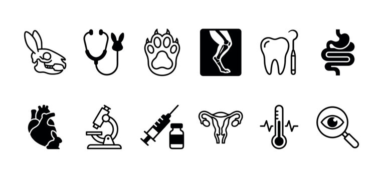Set of black veterinary medicine icons for animal healthcare, featuring symbols of diagnostics, anatomy, and treatment like a stethoscope, paw print, x-ray, and syringe