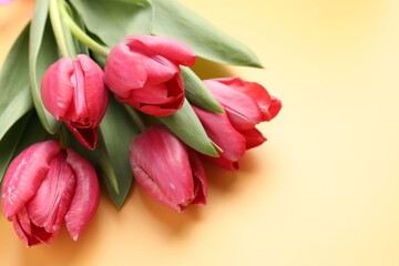 Obraz premium Beautiful pink tulips on pale yellow background, closeup. Space for text