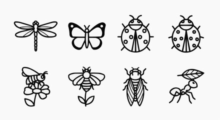 Fototapeta premium Set of line art illustrations of diverse insects. Each insect is represented with simple, clean lines, and easily recognizable features. This set is a great resource for educational materials.