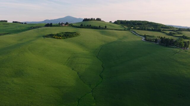 Aerial View of Cipressi di Monticchiello, Tuscany Rolling Hills