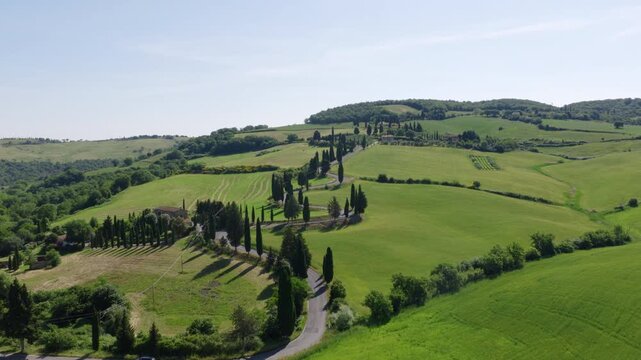 Cipressi di Monticchiello, Tuscany Rolling Hills with Cypress-Lined Road