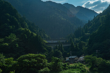 Mountain landscape in Japan with forest and highway visible between trees scenic countryside view © Dmitrii