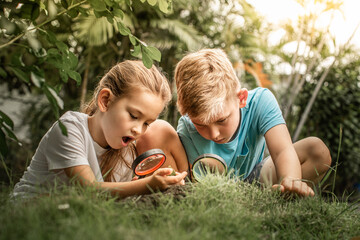 Curious children exploring nature forrest with magnifying glass in garden, kids discovering insects and learning science outdoors, childhood education, curiosity and exploration concept  © kieferpix