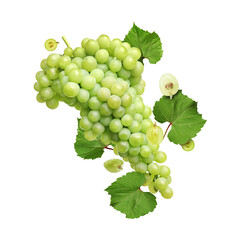Obraz premium Fresh juicy grapes and green leaves in air on white background