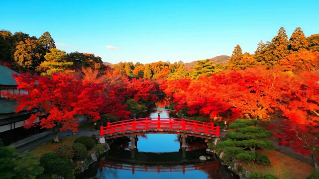 Stunning Red Bridge Amidst Vibrant Autumn Foliage in Japanese Garden.