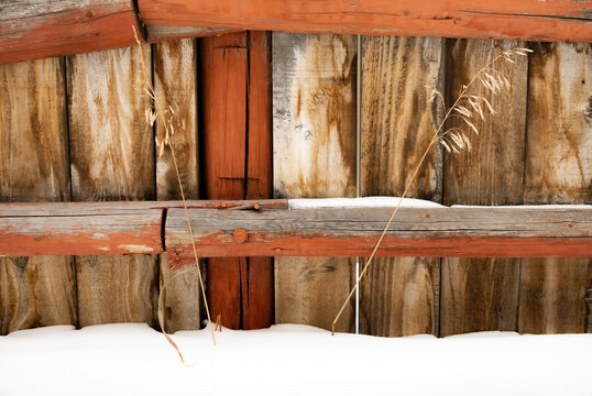 wooden fence in winter