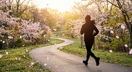 Obraz premium Runner Jogging on Cherry Blossom Path During Spring Morning