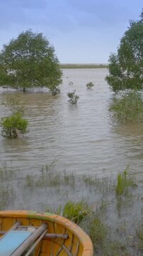 A basket boat sits on the shore in Cam Thanh, Vietnam. The boats are used by local fishermen to navigate the waterways and fish for crabs and shrimp in the flooded forest.