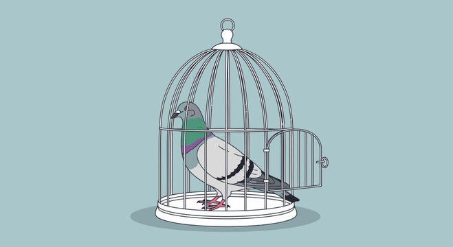 Bird sitting in a cage alone.