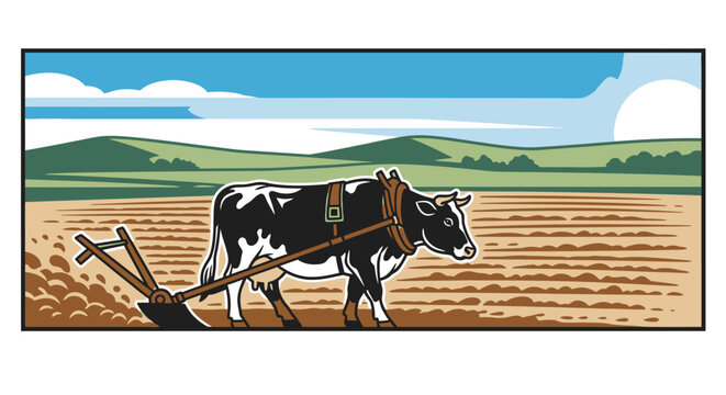 Black and white cow plowing field.