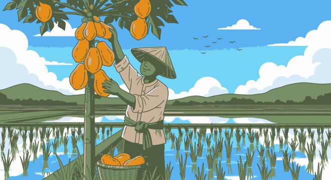 Man picking oranges from tree branch.