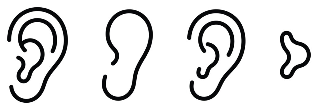 Human ear and nose structure as outline vector diagram anatomy illustration for education health design