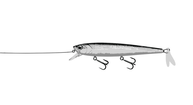 Detailed grayscale illustration of a classic fishing minnow lure for angling enthusiasts
