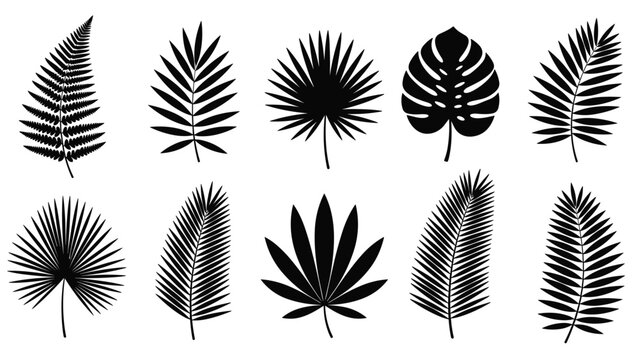 Diverse collection of black leaf silhouettes featuring palm fronds, monstera, and fern leaves is arranged in two horizontal rows.