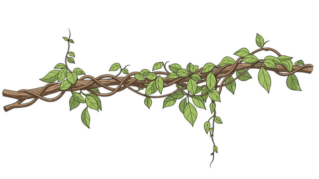 Long tree branch with intertwining vines and green leaves creates a natural jungle or forest element on white background.