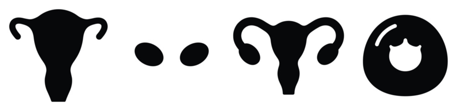 Female reproductive system icons ovaries uterus fallopian tubes and egg cell isolated on transparent background