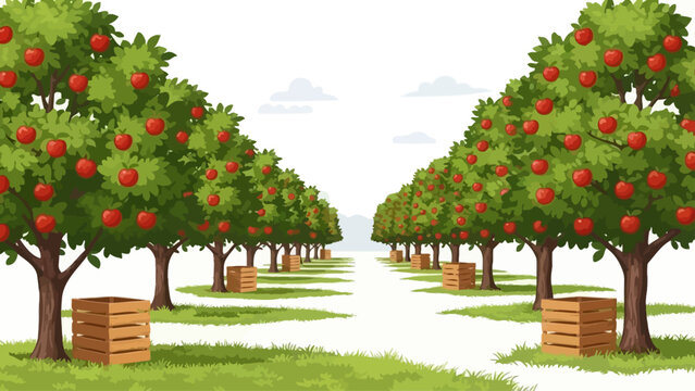 Apple Trees with Red Apples in Orchard.