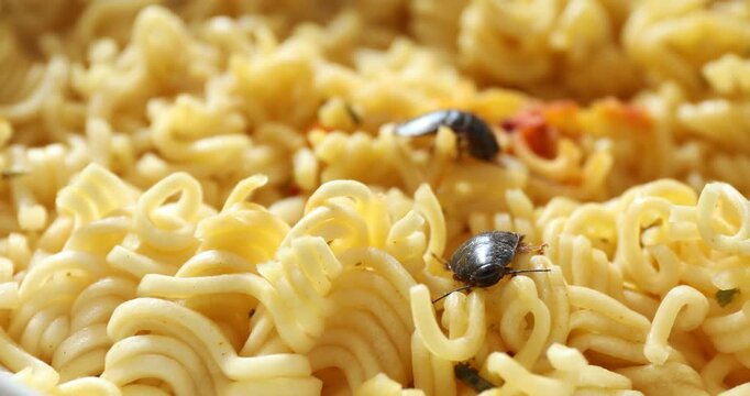 Cockroaches crawling on noodles, closeup. Pest control