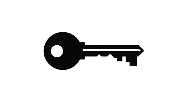 Flat isolated 2d icon of black key icon