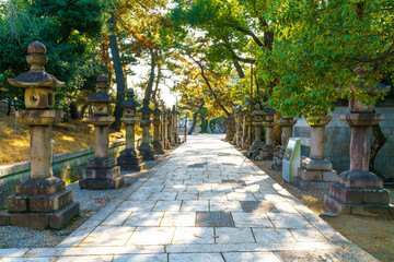 Fototapeta premium Sunlit stone pathway lined with traditional Japanese stone lanterns leading through a tranquil garden with lush green trees. Peaceful atmosphere at a historical shrine or temple in Japan.