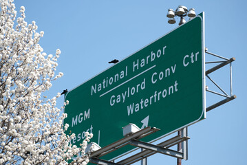street sign to National Harbor and Gaylord Convention Center  © Neal