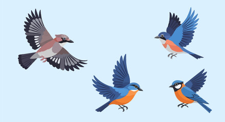 Fototapeta premium Flat vector illustration of four colorful songbirds in various flight poses against a pale blue background. Featuring detailed plumage in shades of blue, orange, brown, and grey wings spread.